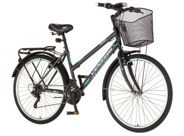 Bicikl Venssini Roma 26" sivi