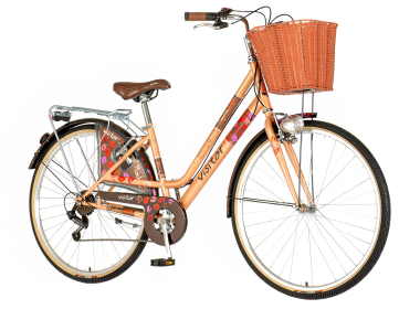 Visitor mocha bicikla braon -fas281s6