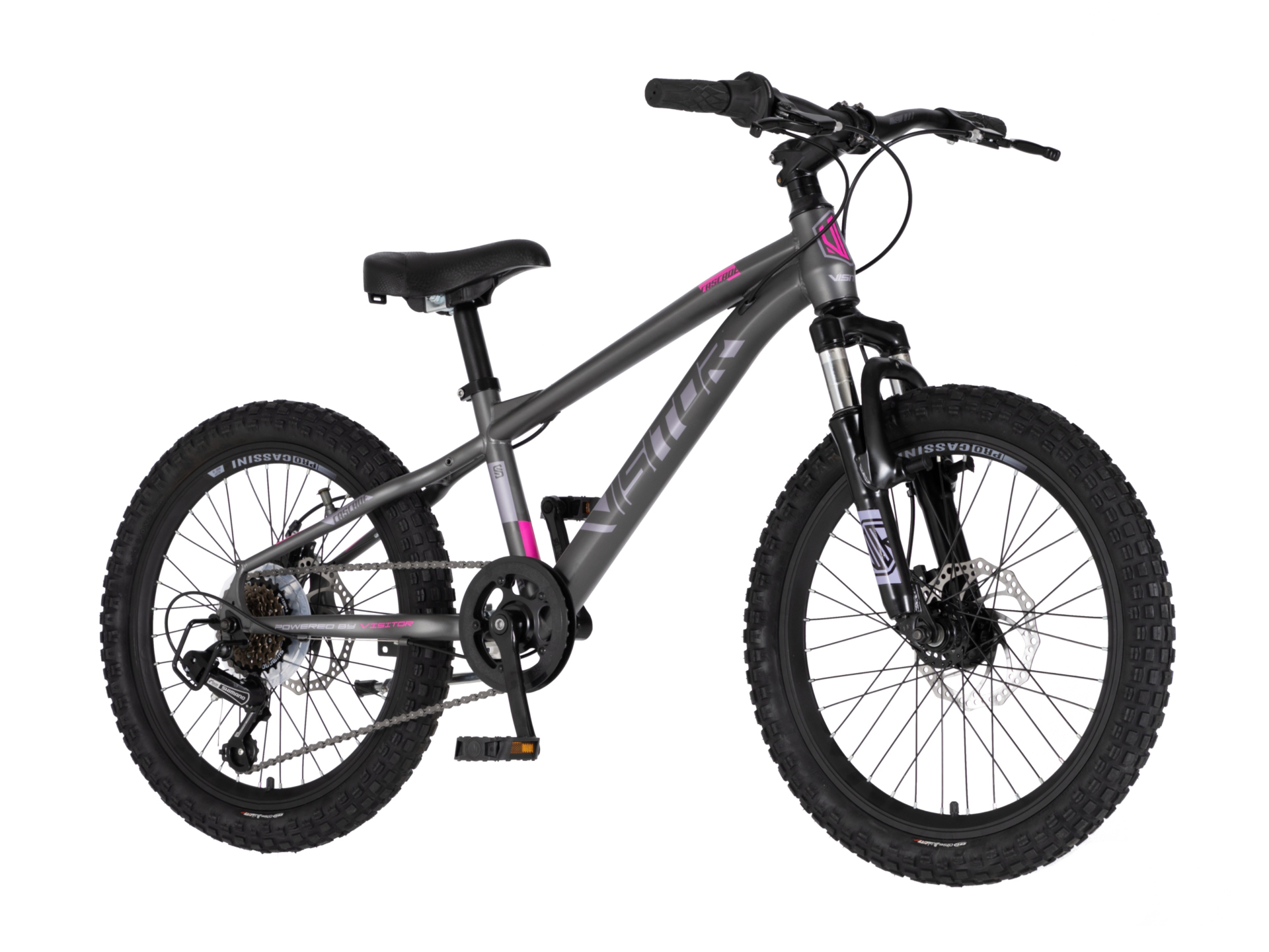 Bicikl Visitor Cascade 20" sivo roze