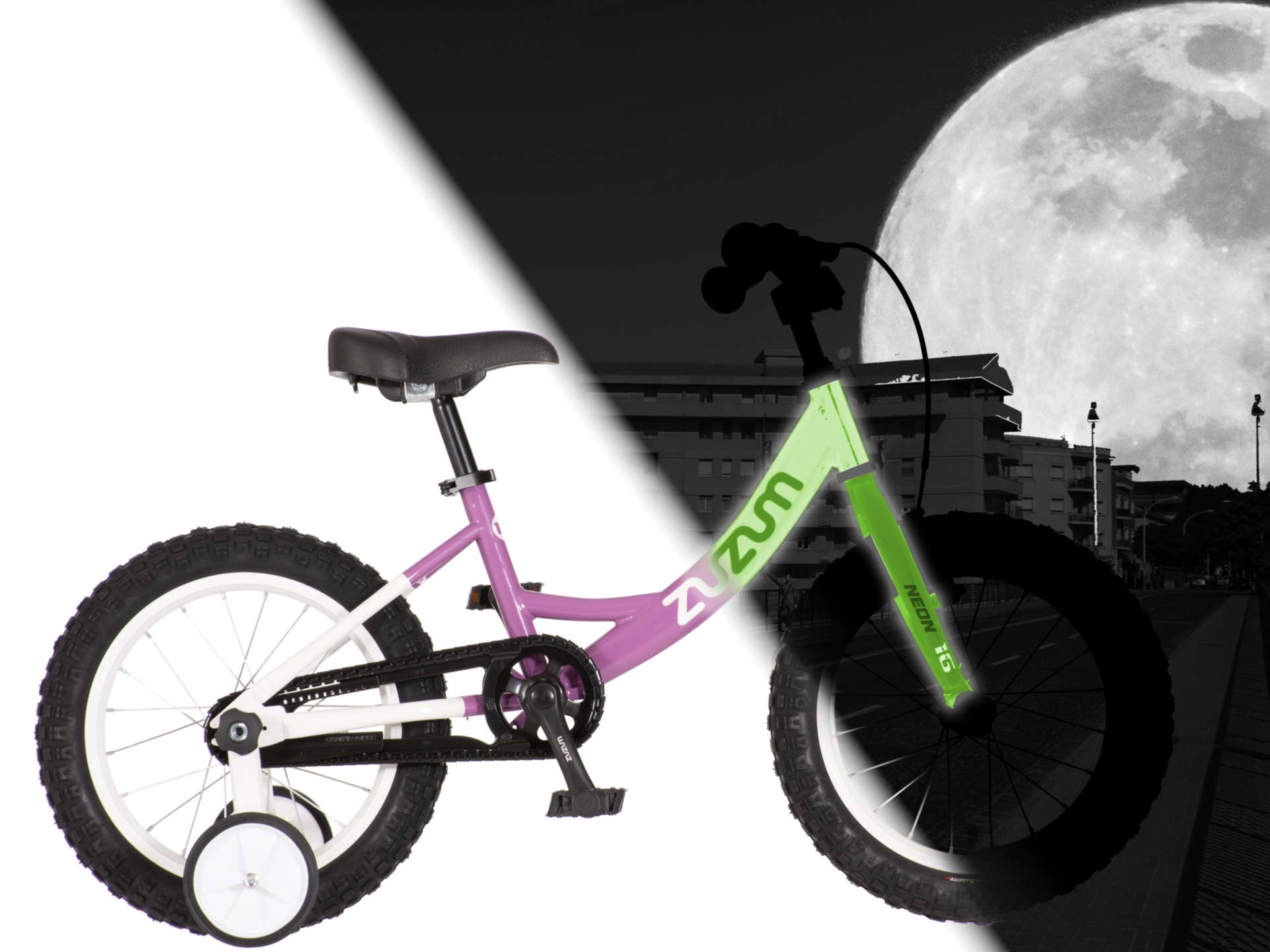 12 neon Zuzum-1 ljubičasta bela