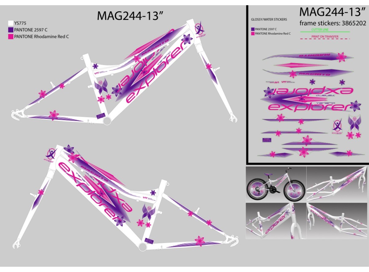 NAL.W.KINA ram water sticker mag244 2021 @@@