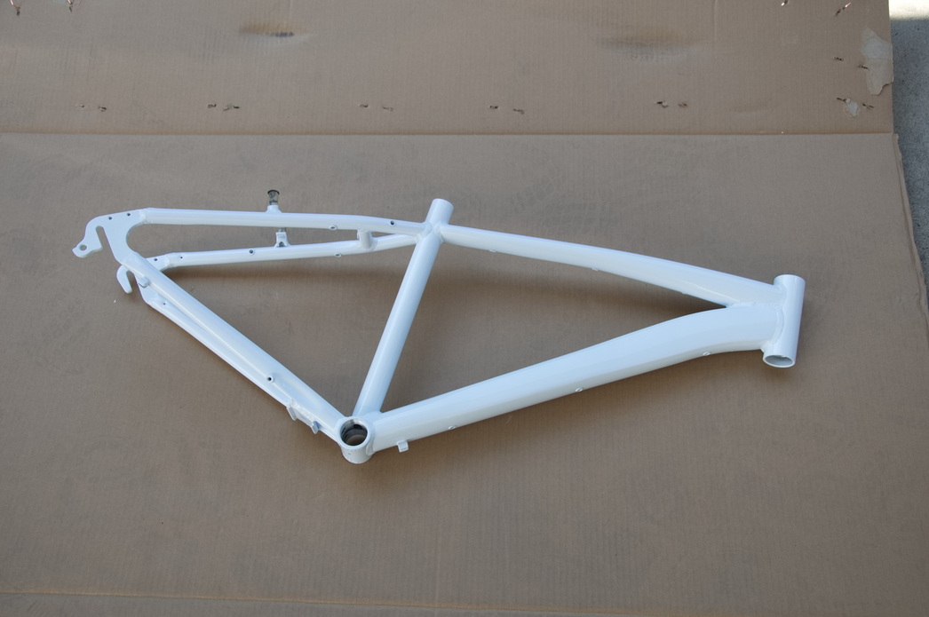 TOK17,1 24"_1dizajn F.RAM CASSINI VISITOR 2026@@