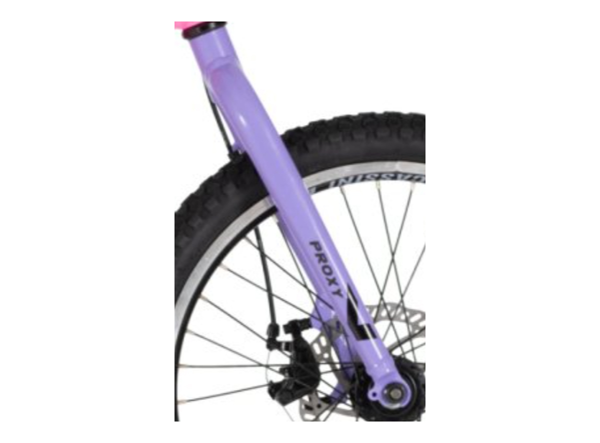 F.VILA CASSINI ZA RAM PROXY START LJUBICASTA 20" -3892338 2026