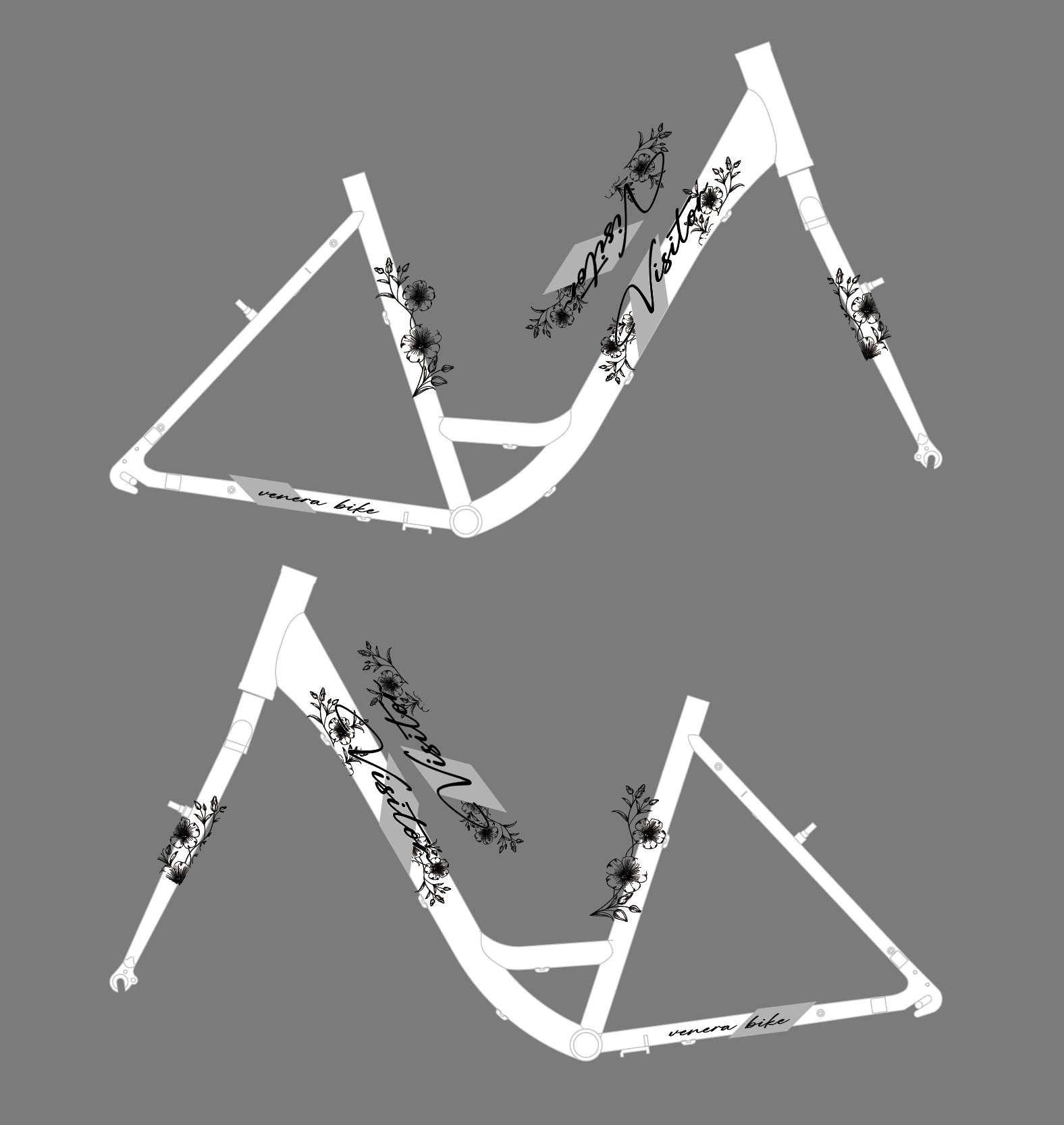 TOK8 28"/21"_2dizajn F.RAM CASSINI VISITOR 2026@@