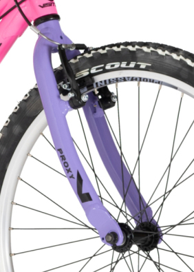 F.VILA CASSINI ZA RAM PROXY START LJUBICASTA 24" -3892340 2026