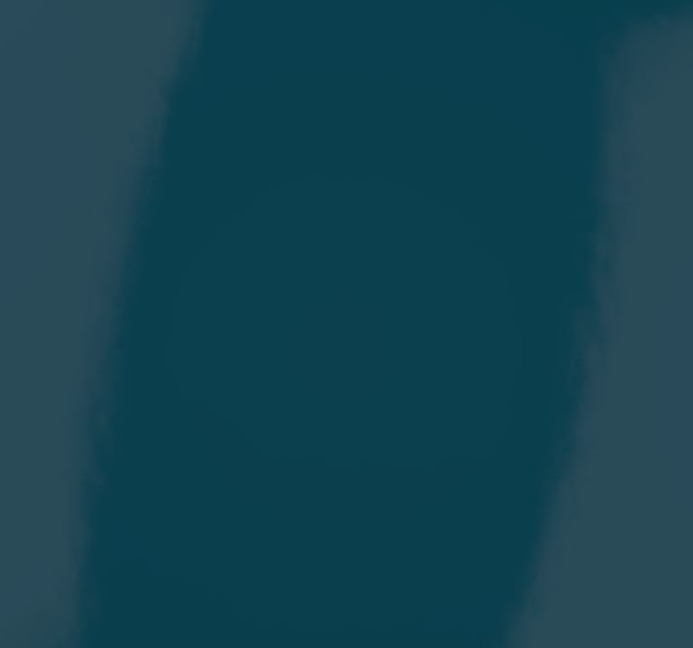 PRAH_PLAVA_SJAJ_OBI?NA_YS7366_548C_2_2022_59/44270