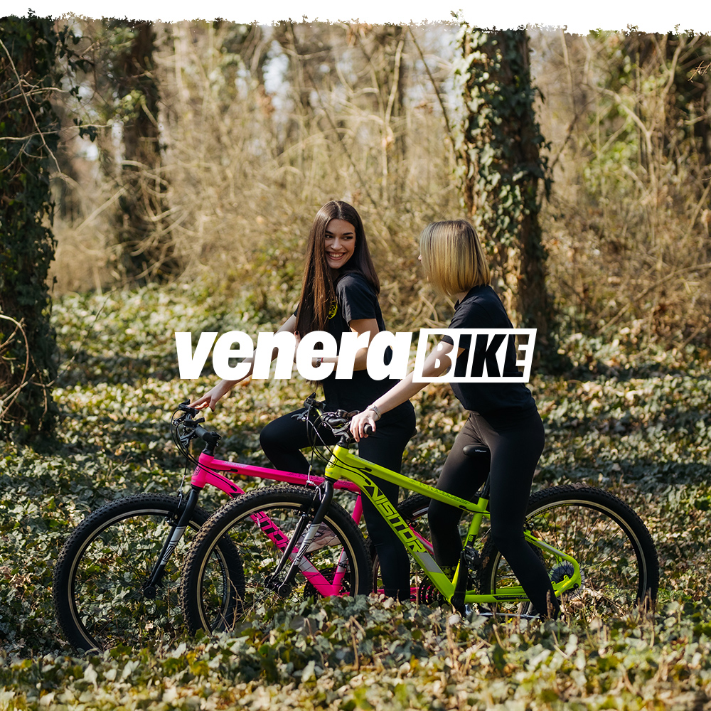 Bicikl Venssini Arcadia 27" crno ljubičasti