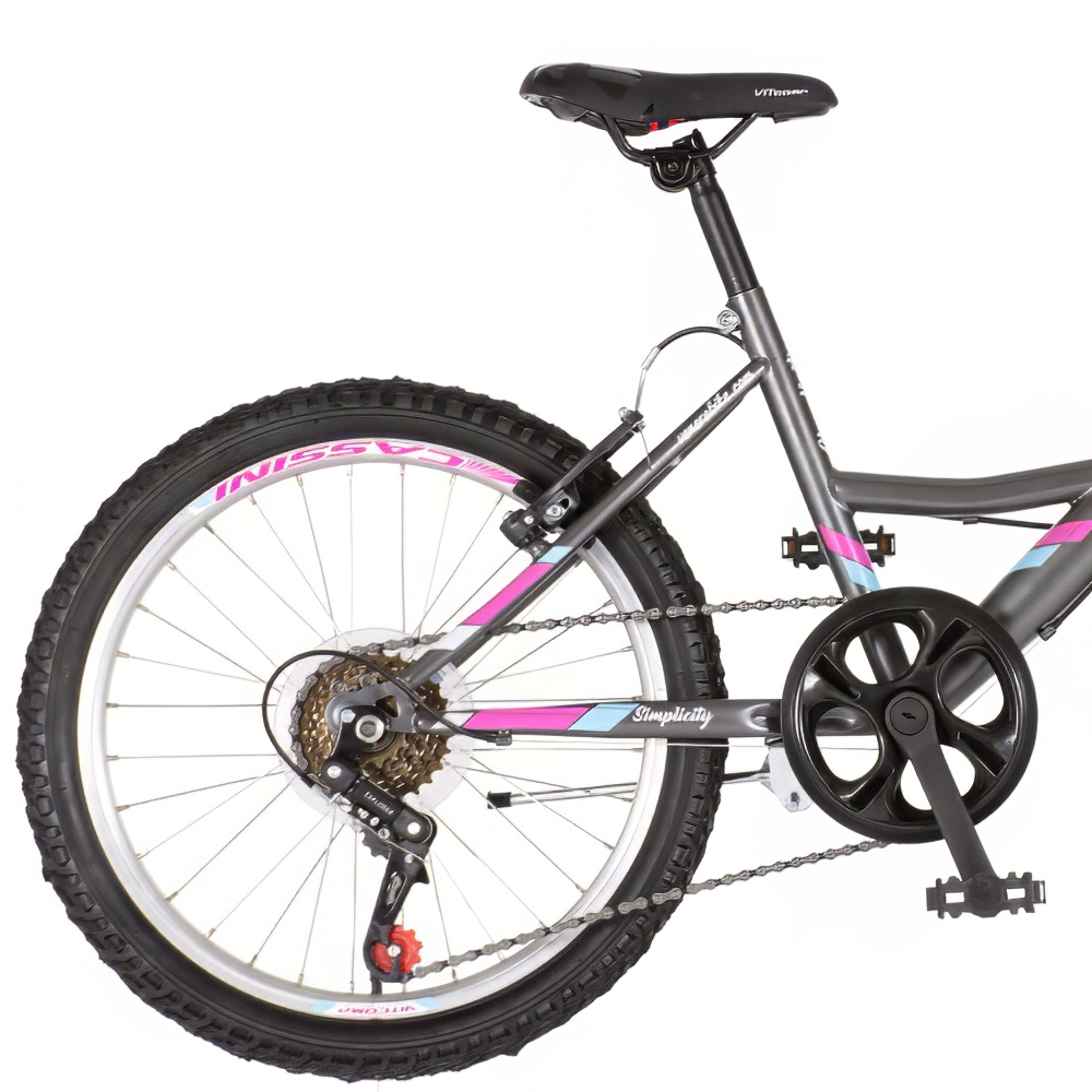 BICIKL JUNIOR 20 VENSSINI PARMA 20" 13" V-BRAKE  6 BRZINA 120-142CM (XXS)  SIVI POLU MAT