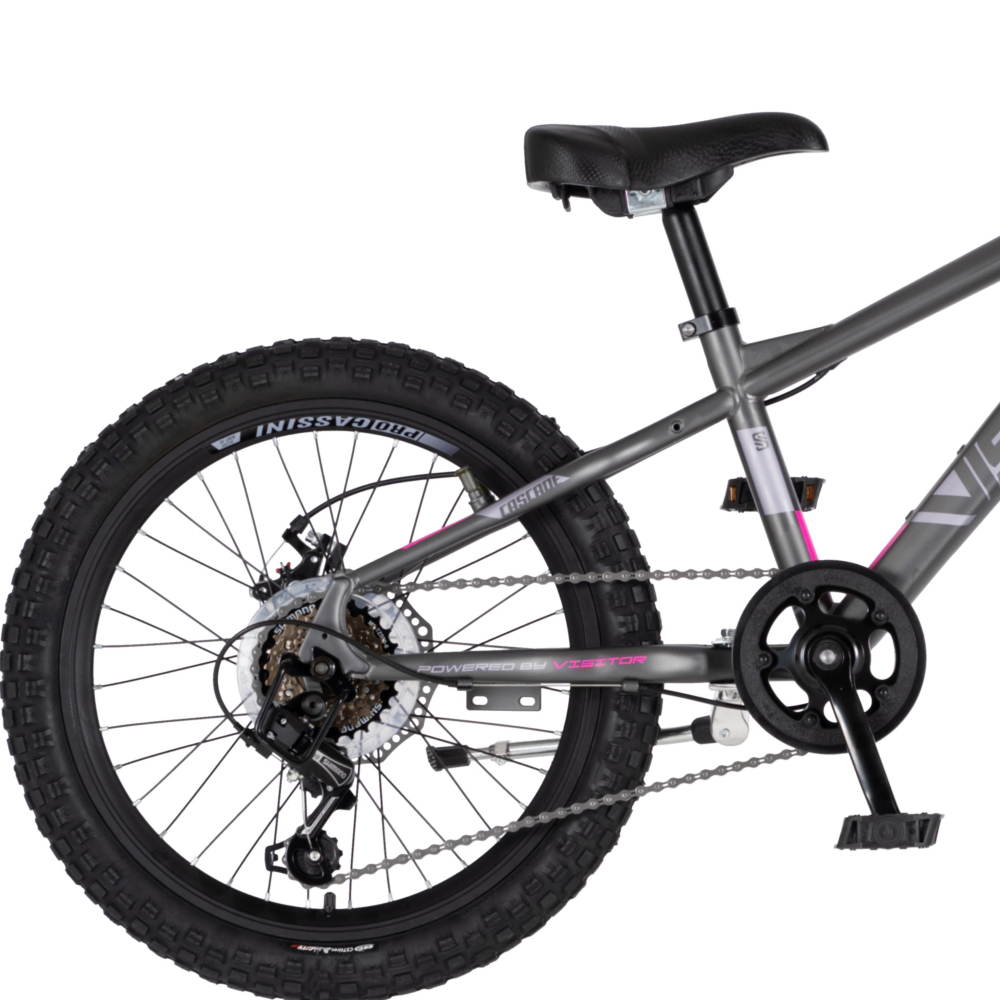 Bicikl Visitor Cascade 20" sivo roze