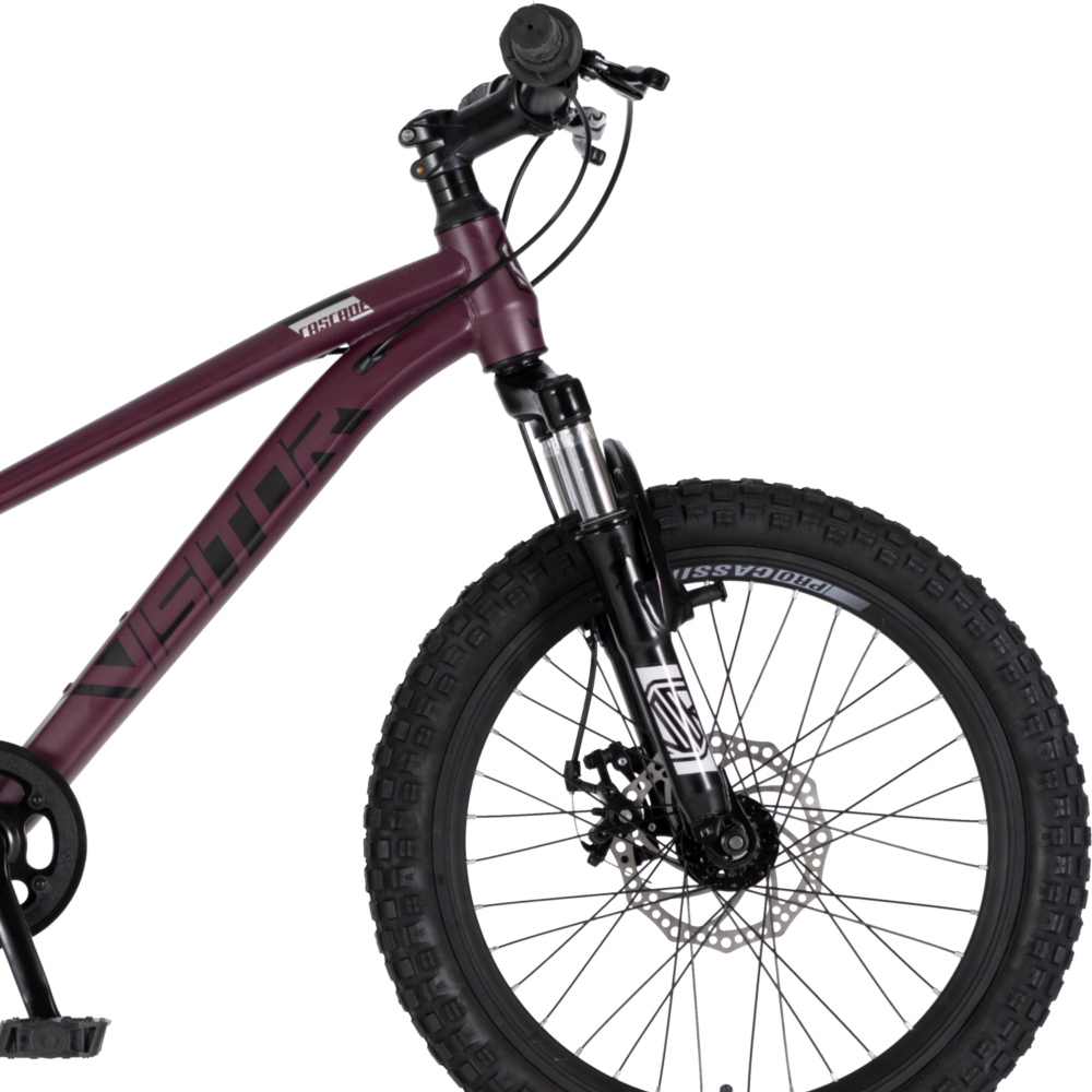Bicikl Visitor Cascade 20" bordo crni