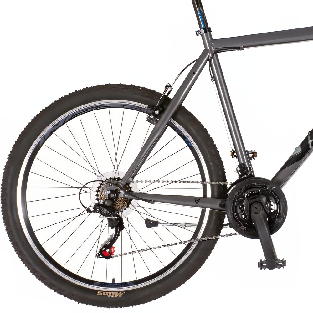 Bicikl Visitor Proclassic 26" sivi