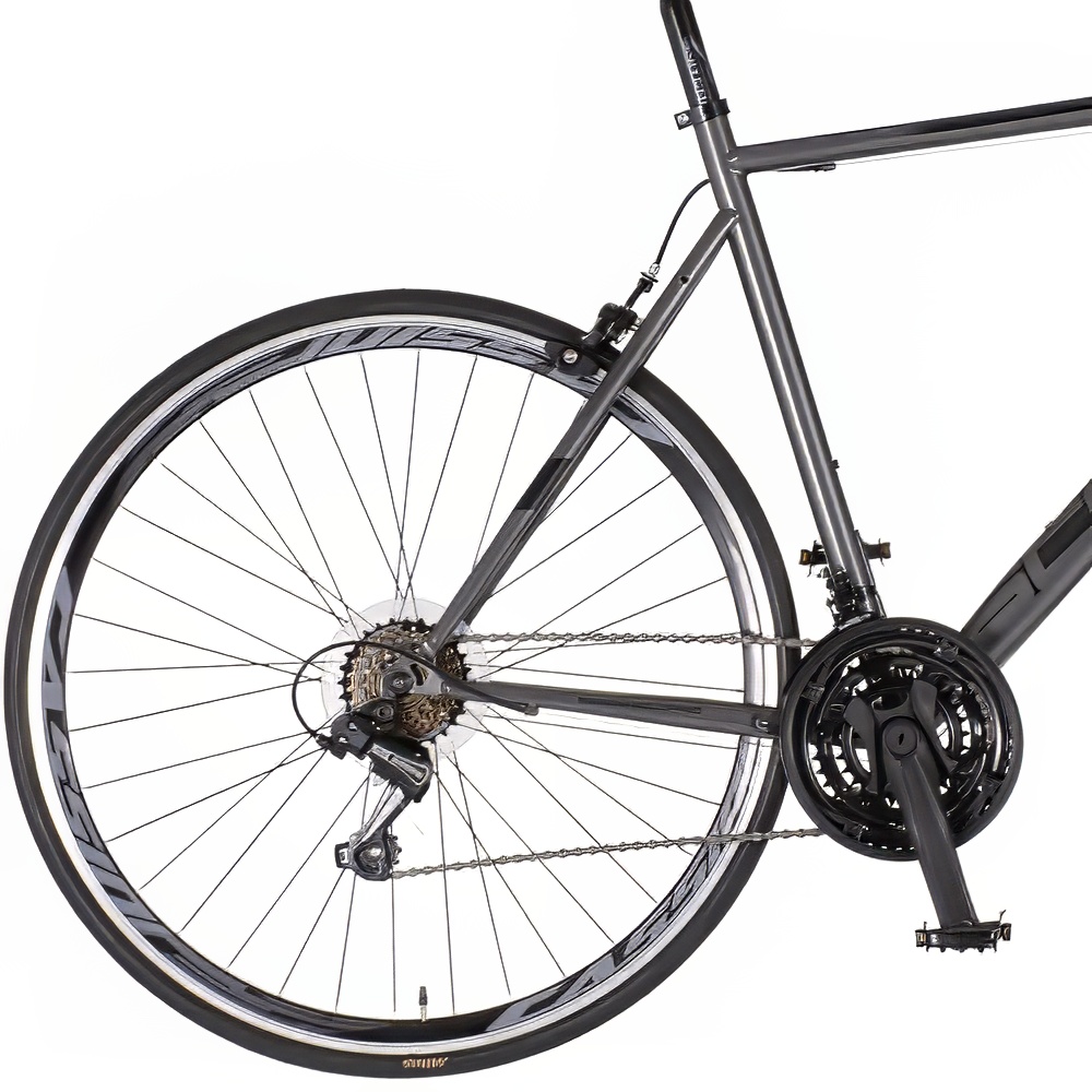 Bicikl Visitor Road 28" sivi