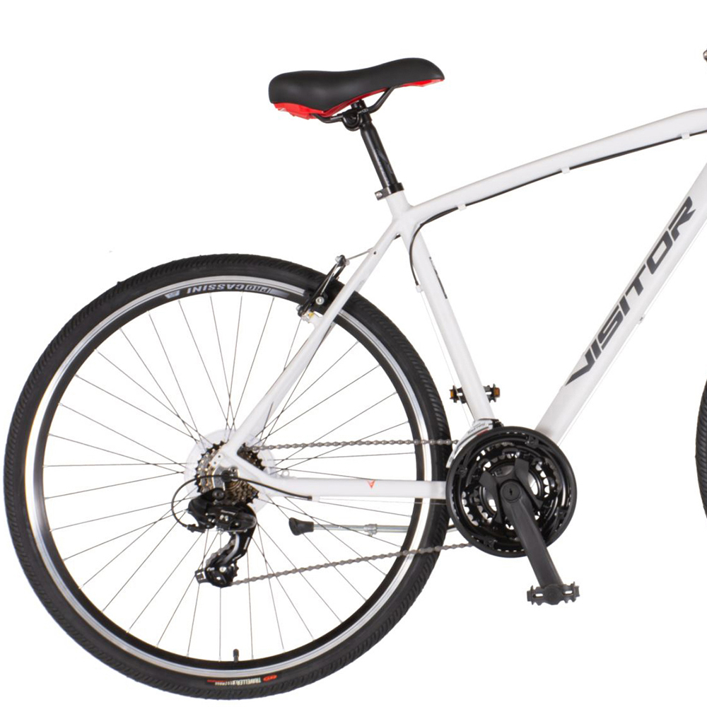 Bicikl Visitor Terra Man 28" sport sivi