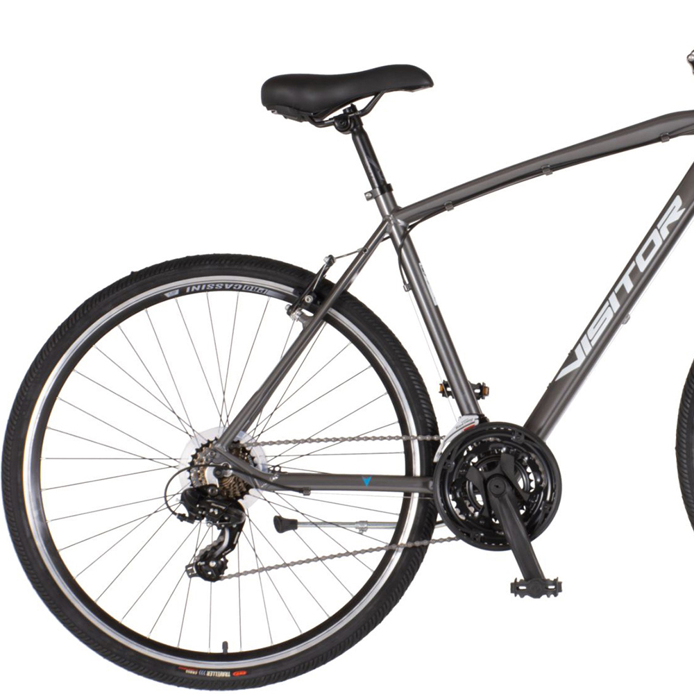 Bicikl Visitor Terra Man 28" sport sivi