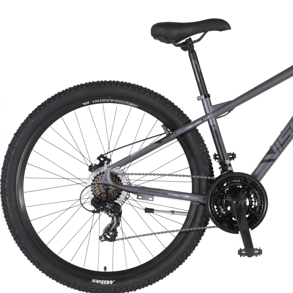 Bicikl Visitor Cascade 29" kameleon crni