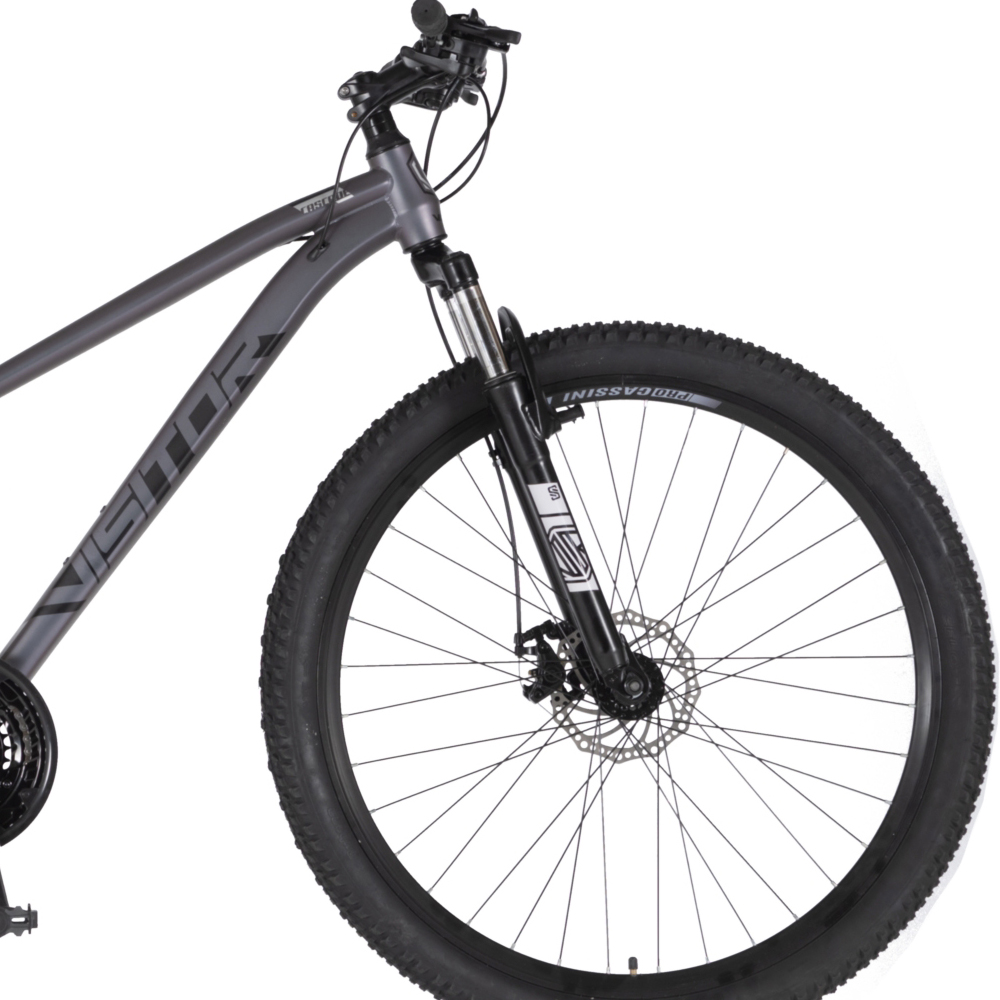 Bicikl Visitor Cascade 29" kameleon crni