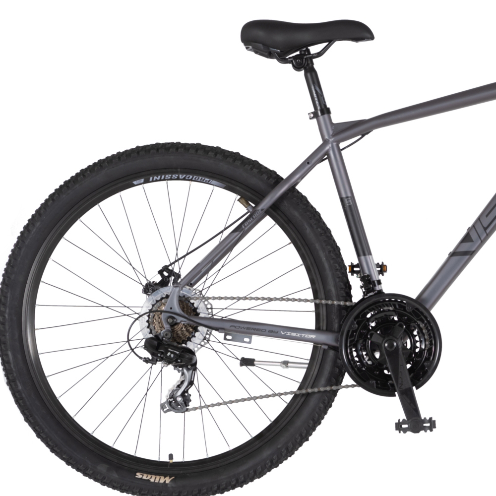 Bicikl Visitor Cascade 29" kameleon crni