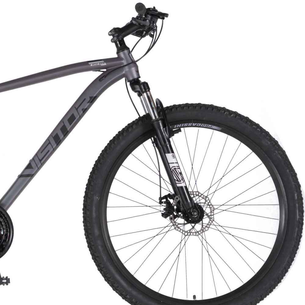 Bicikl Visitor Cascade 29" kameleon crni