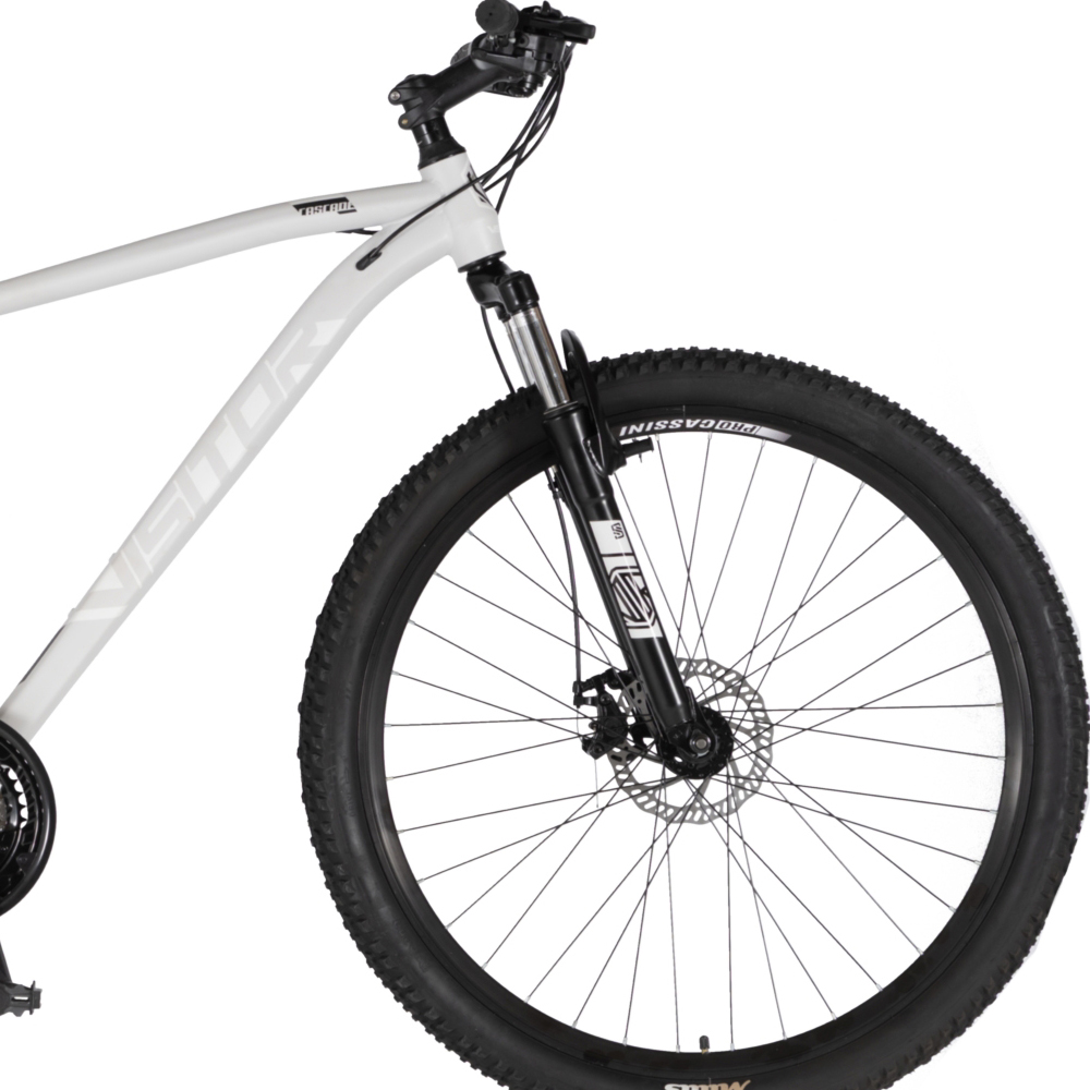 Bicikl Visitor Cascade 29" sivo beli