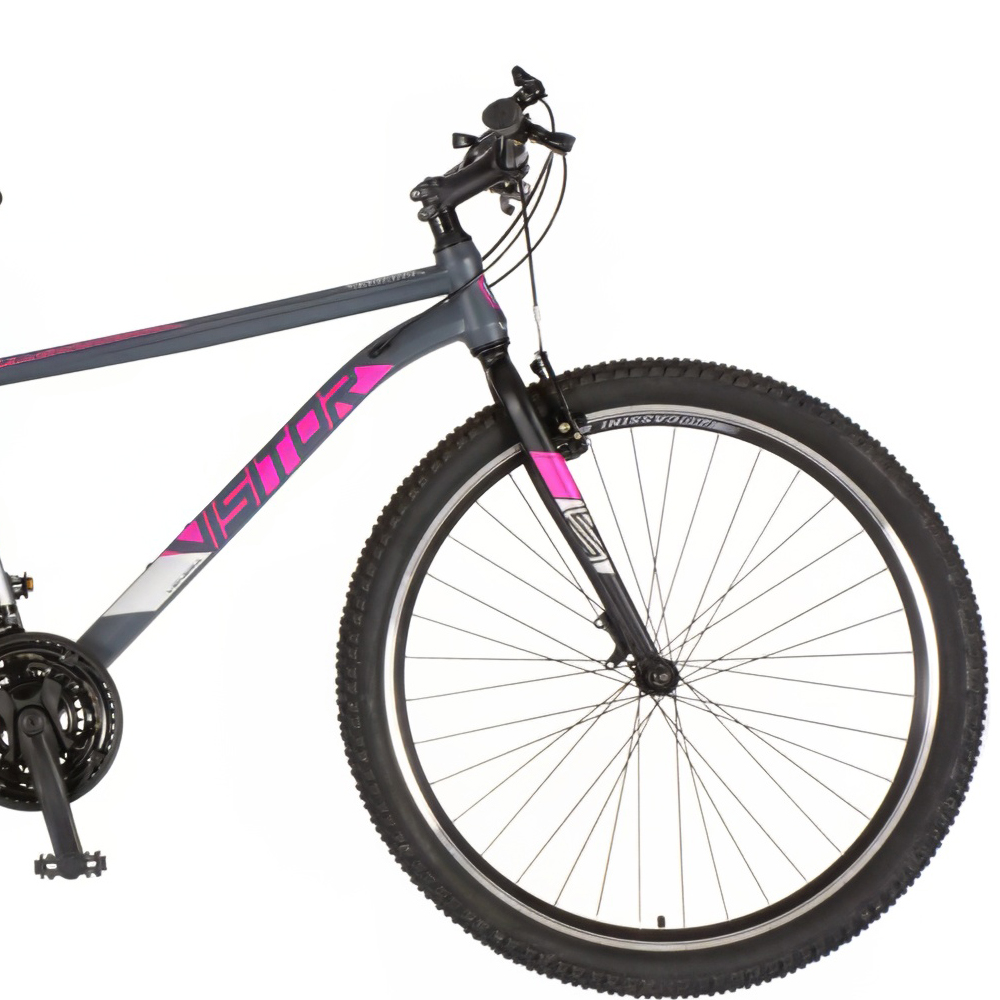 Bicikl Visitor Radiance 29" sivo roze