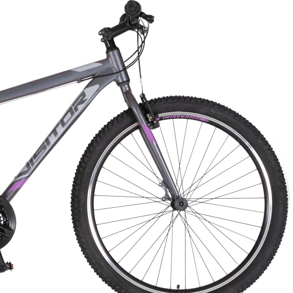 Bicikl Visitor Zero 29" kameleon